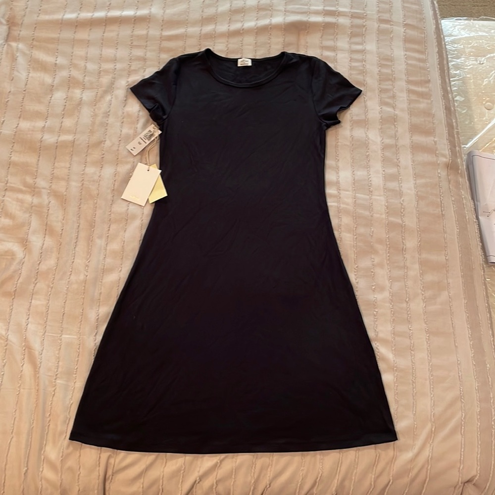 Aritzia Wilfred dress